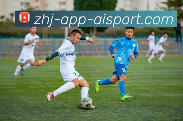 多媒体互动体验